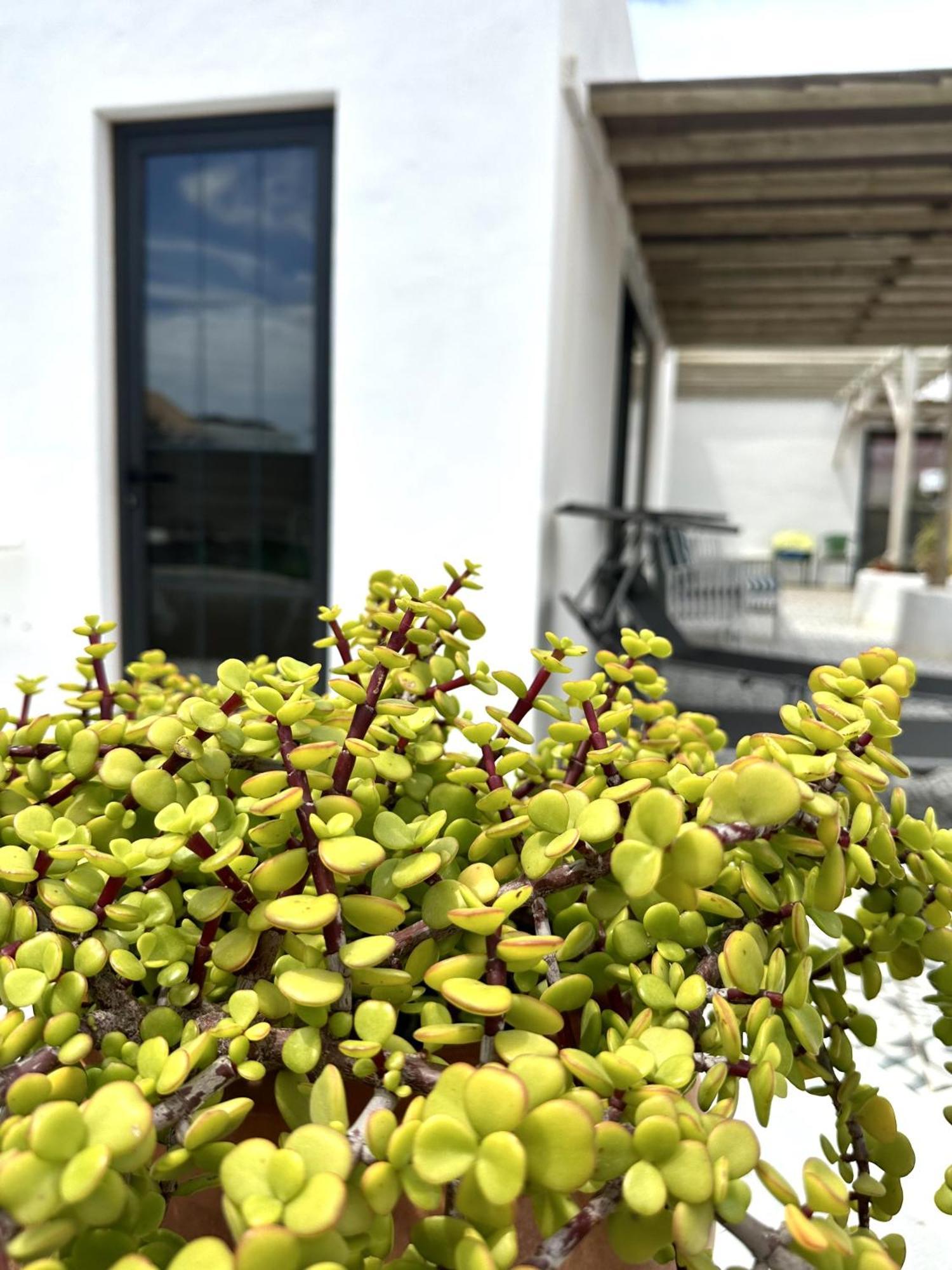 Casita Tiare Lajares Exterior foto